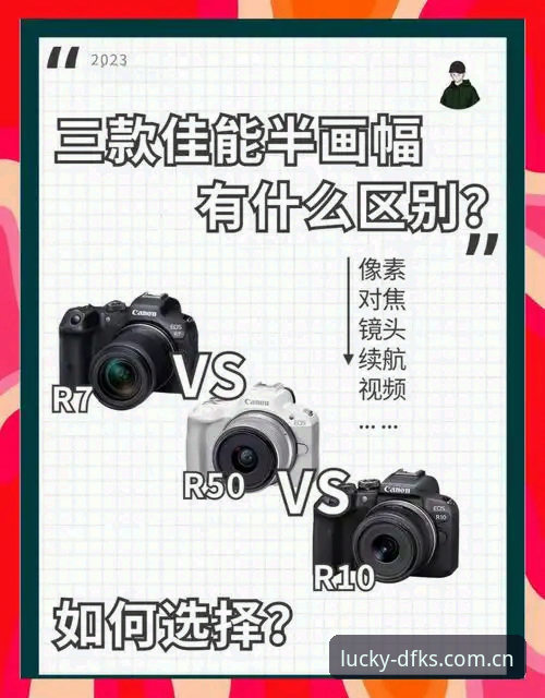 官方版VS第三方版：快三平台选择全面对比，哪个更值得信赖？